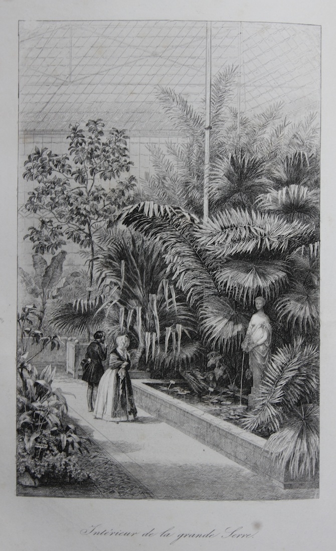 Intérieur des Grandes serres extrait de E. Lemaout, Le Jardin des plantes: description complète, historique et pittoresque du Muséum d’Histoire naturelle, [...], Paris : L. Curmer, 1842